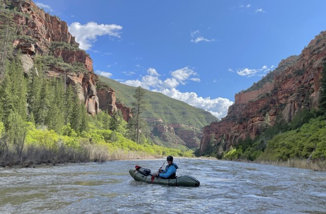 Dolores River 7