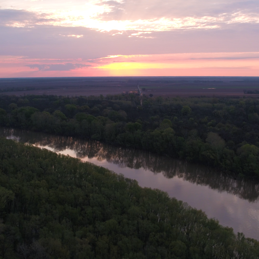 Delta Region drone photo