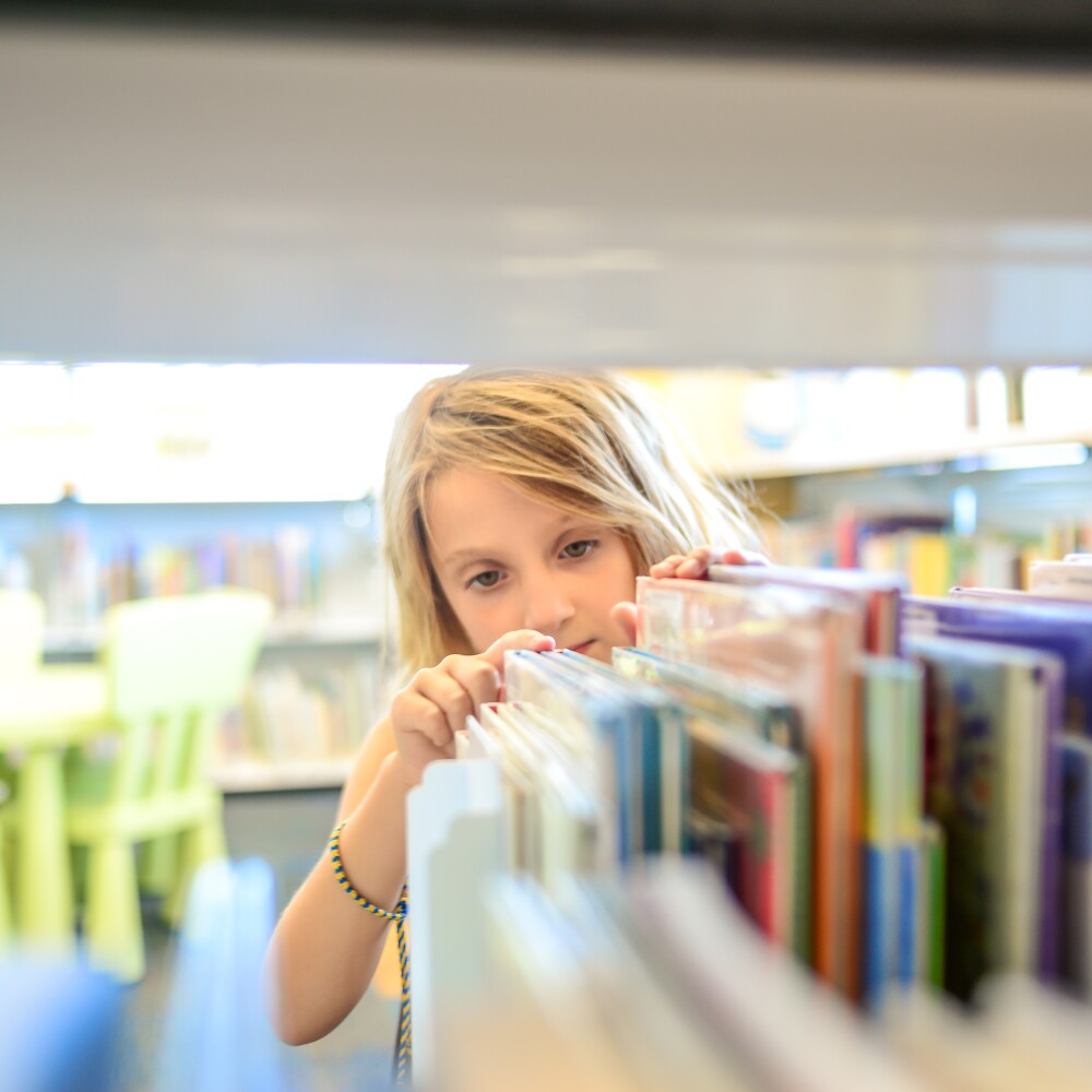 K12Education_Library_Student