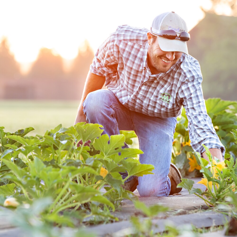 NWA Food Systems. Farm Link. Cody Murphree 2
