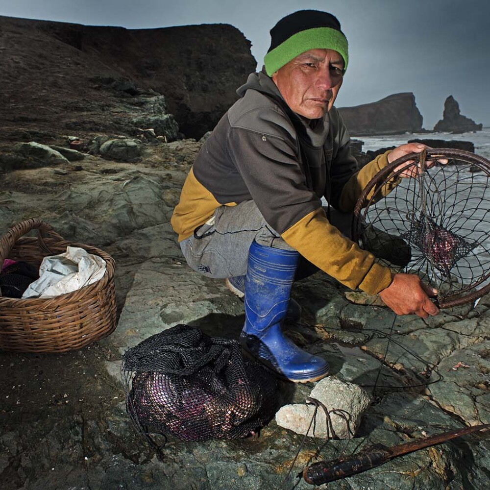 Peru Crab fishery