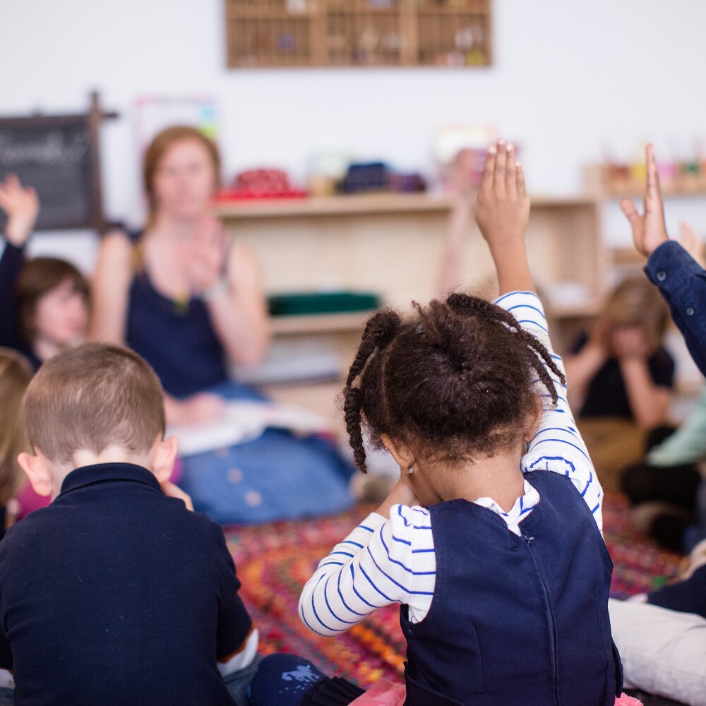Education. Students Hands Up