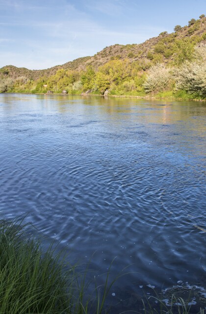 Rio Grande tranquility