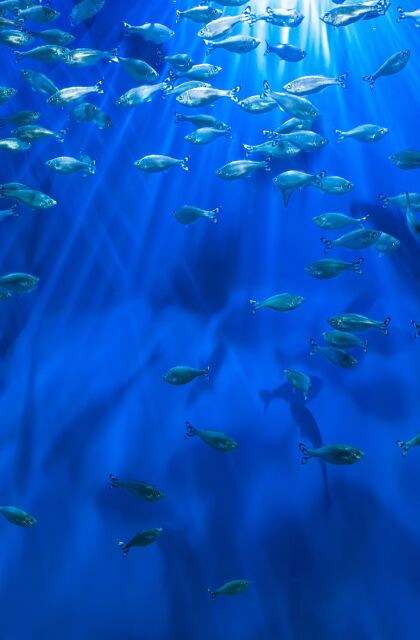 oceans stock image.jpg