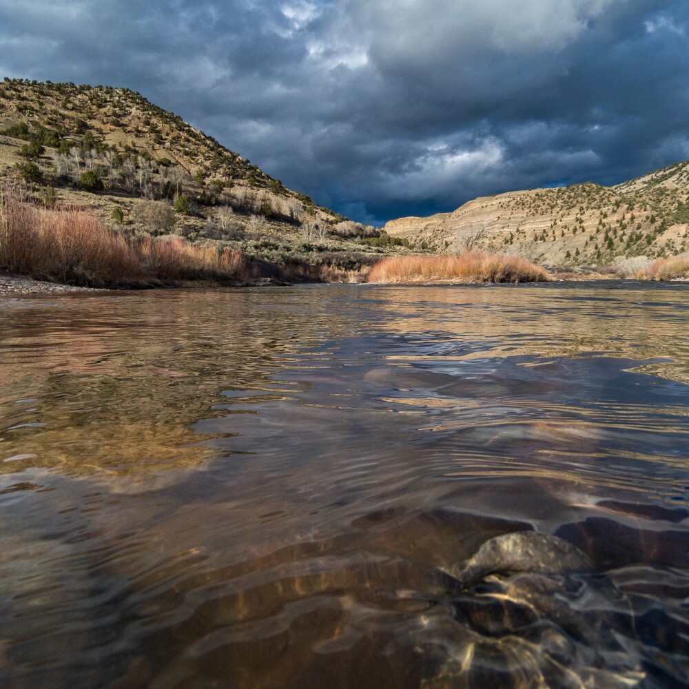 Colorado River at sunset