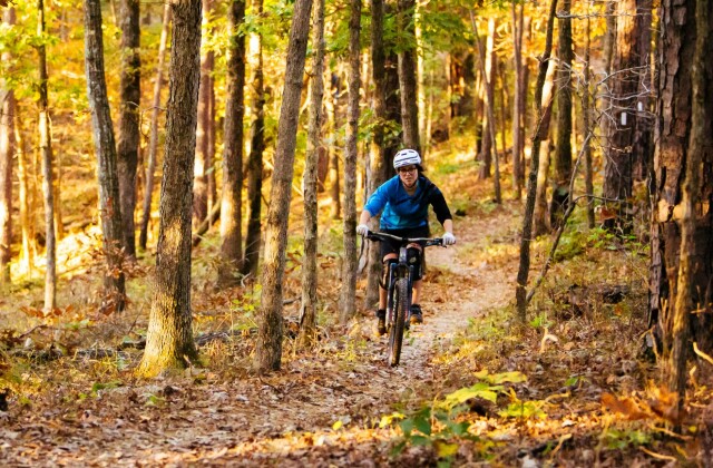 MTB women hero.jpg