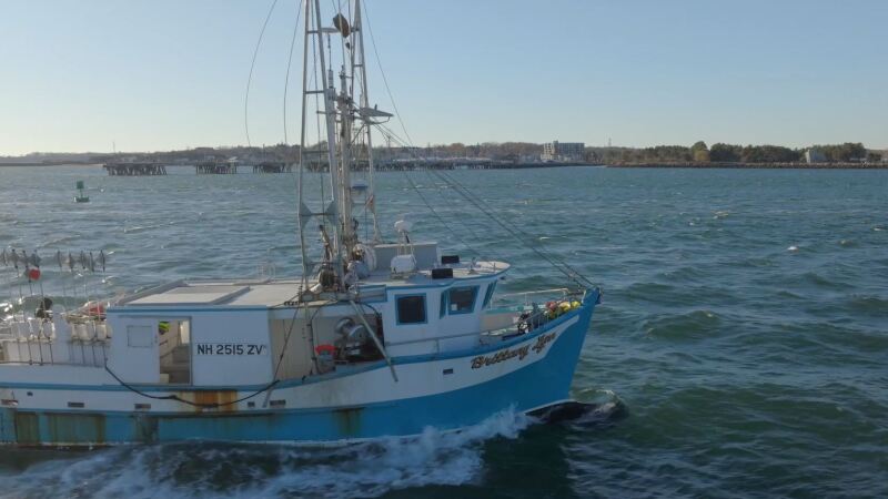 maine video 1.JPG