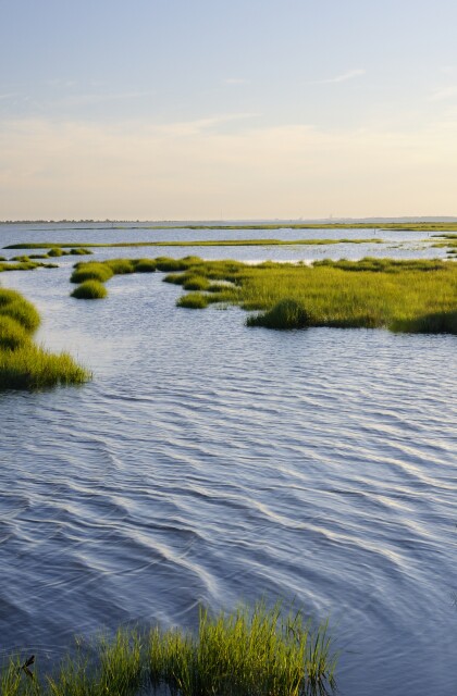Ocean Inlet with Marsh Grass