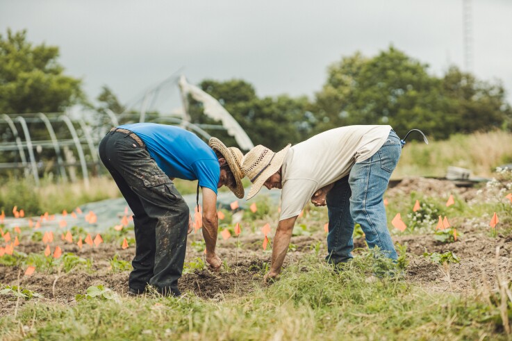 Center for Arkansas Farms and Food field work