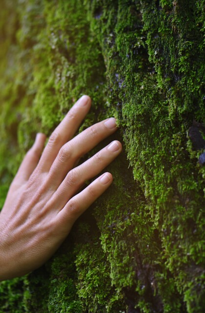 Woman Touching Tree stock photo