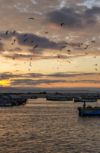 Peruvian Squid Fishing Sunset