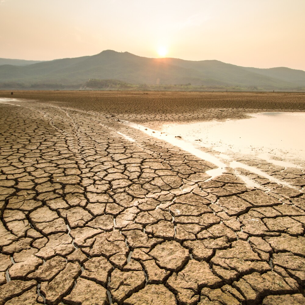 Water Shortages Desert