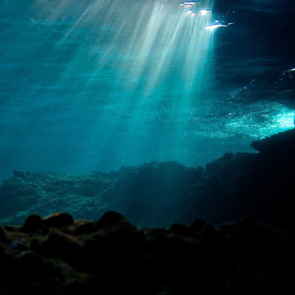 Sunlight filters through ocean water.