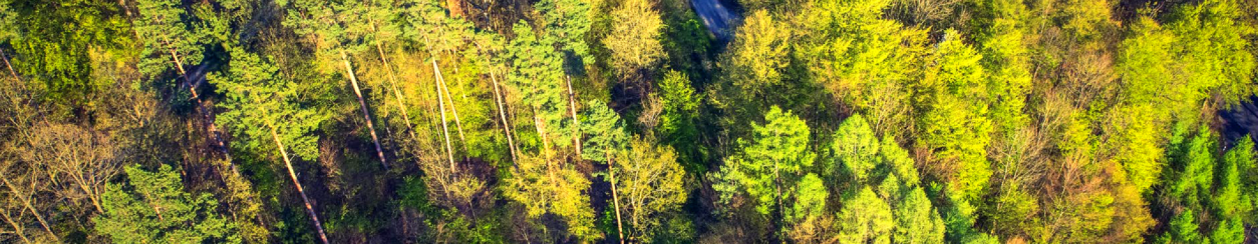 Environment Promo Image