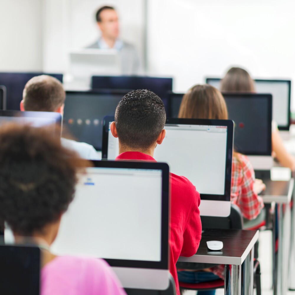 Rear view of group of people in a computer lab.