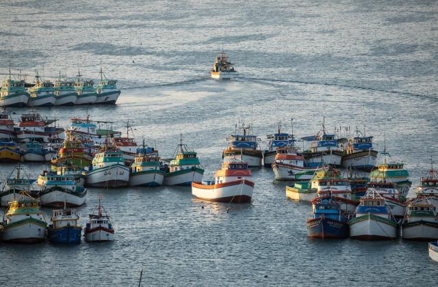Peru Fisheries 5
