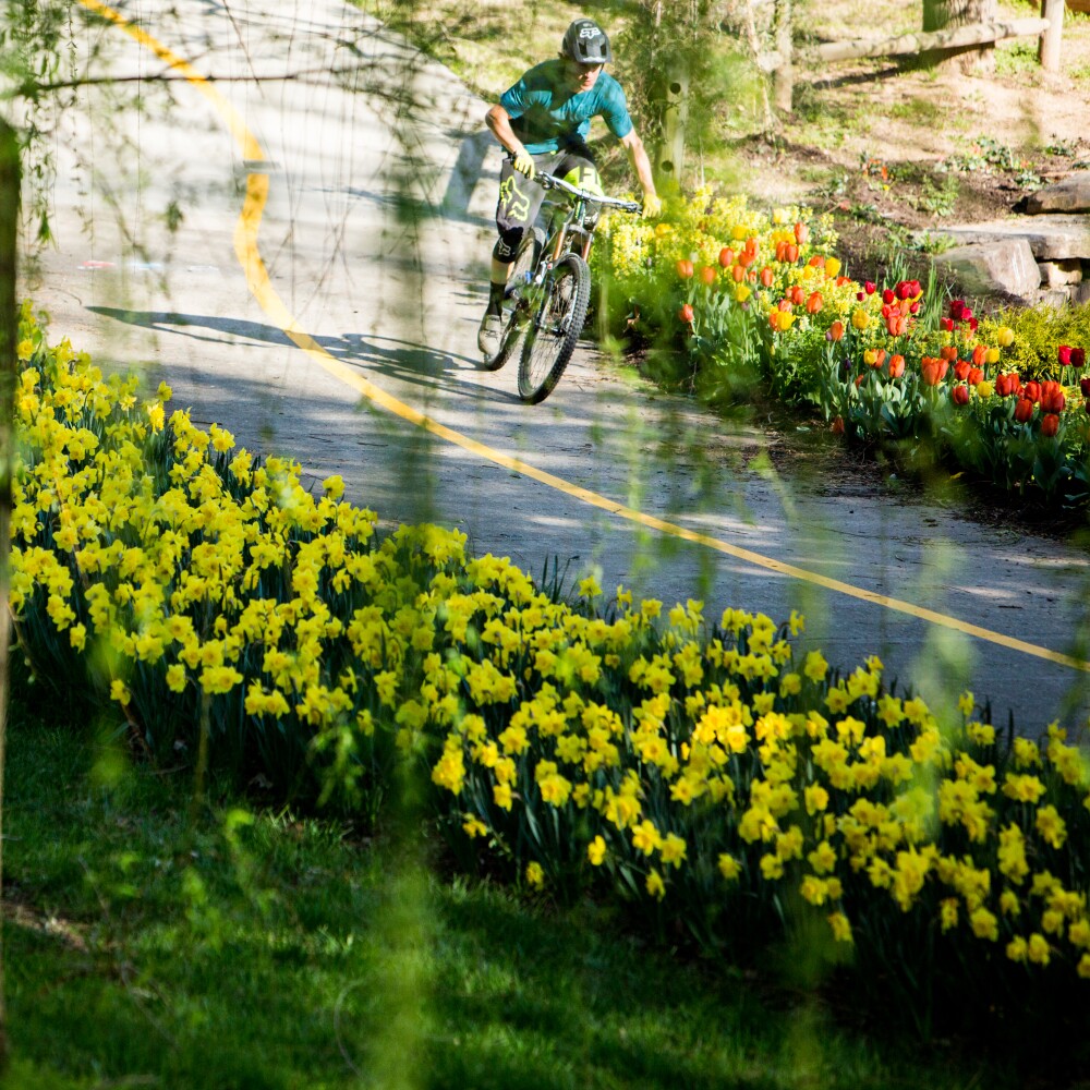 Carl Zoch OzTrails Bike Trail Home Region