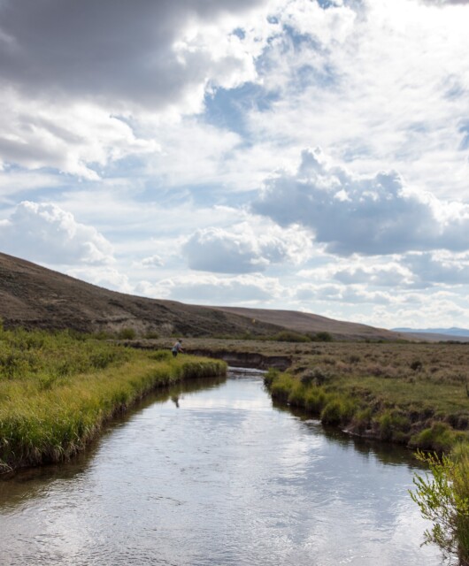 Colorado River Scott Yates Water in the West