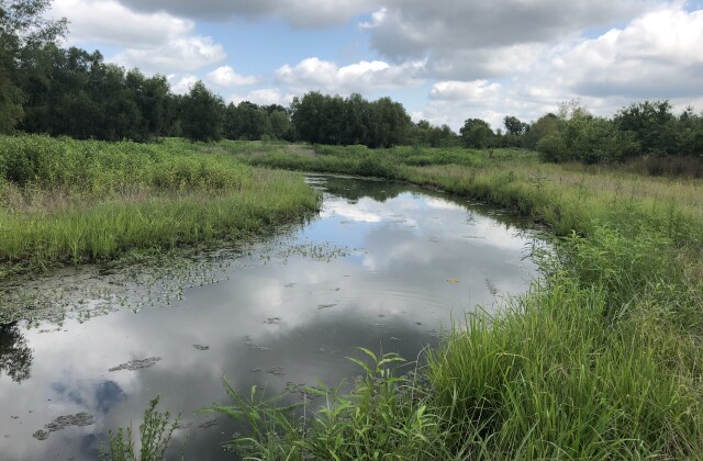 Reconstructed Dark Corner creek in July 2018