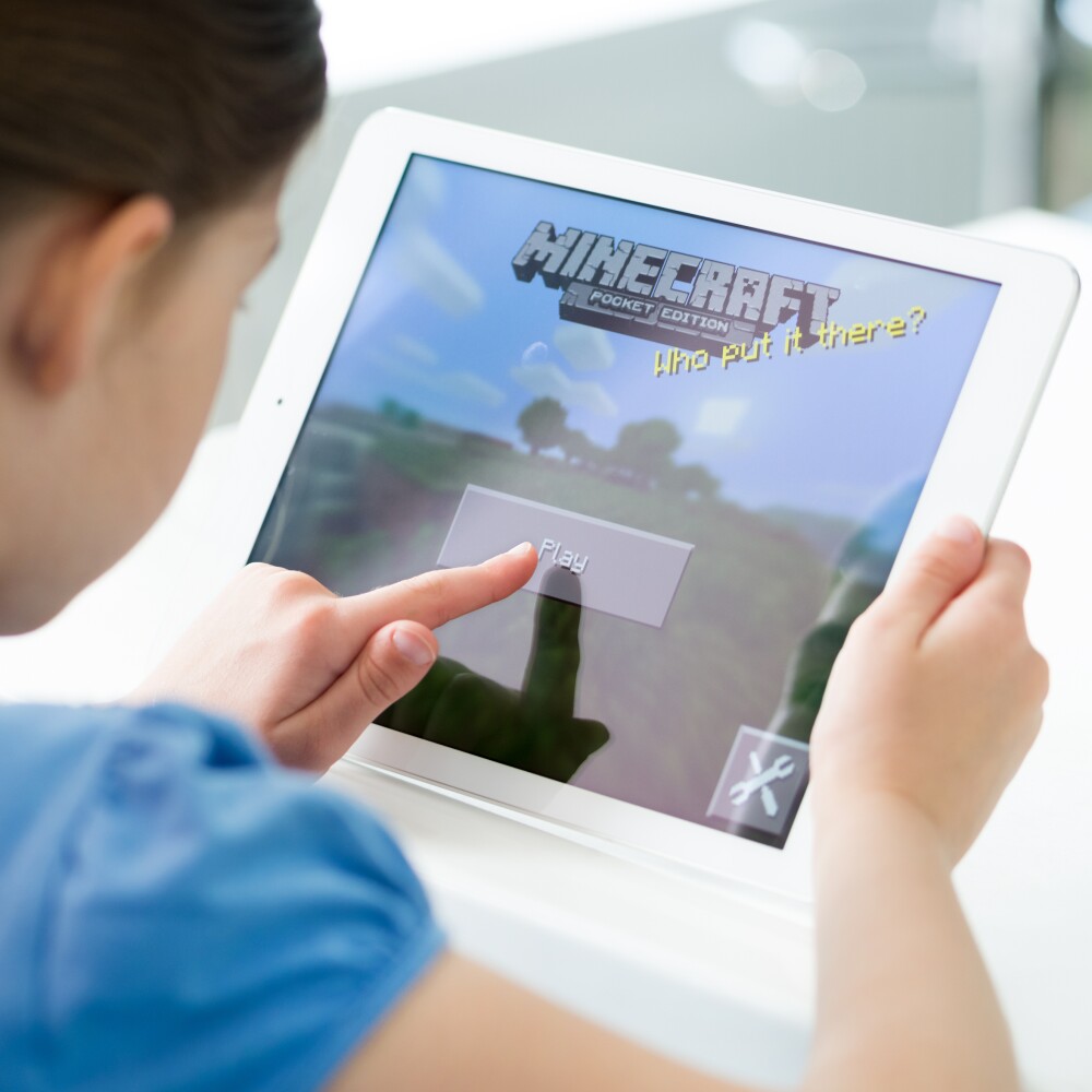 Minecraft gaming