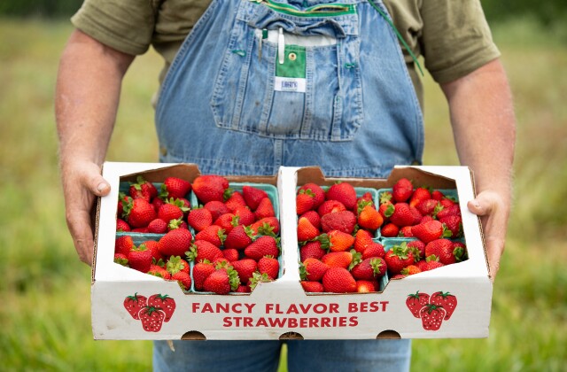 NWA Food Conservancy. Dennis McGarrah holding boxes of strawberries
