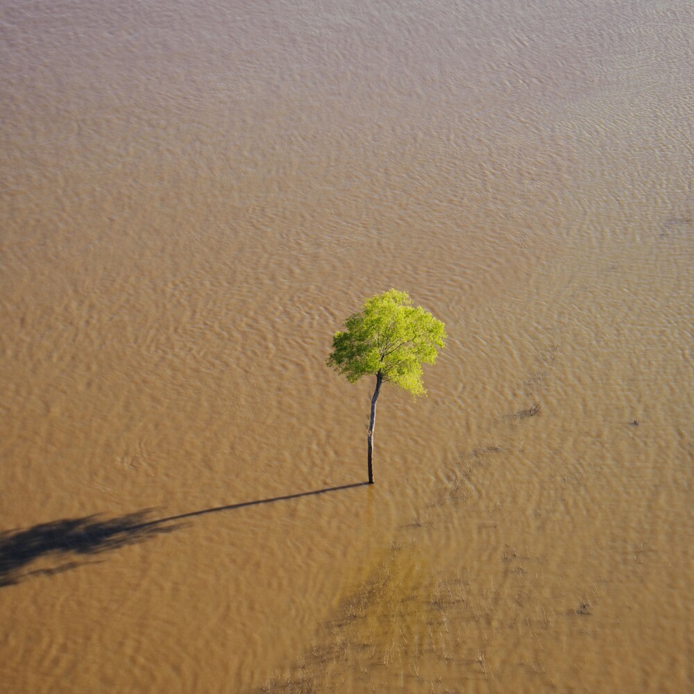 Mississippi River Delta Region Scenic 5