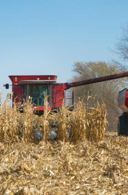 river-at-risk-farm.jpg