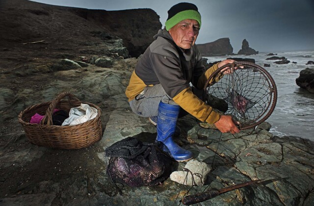 Peru Crab fishery