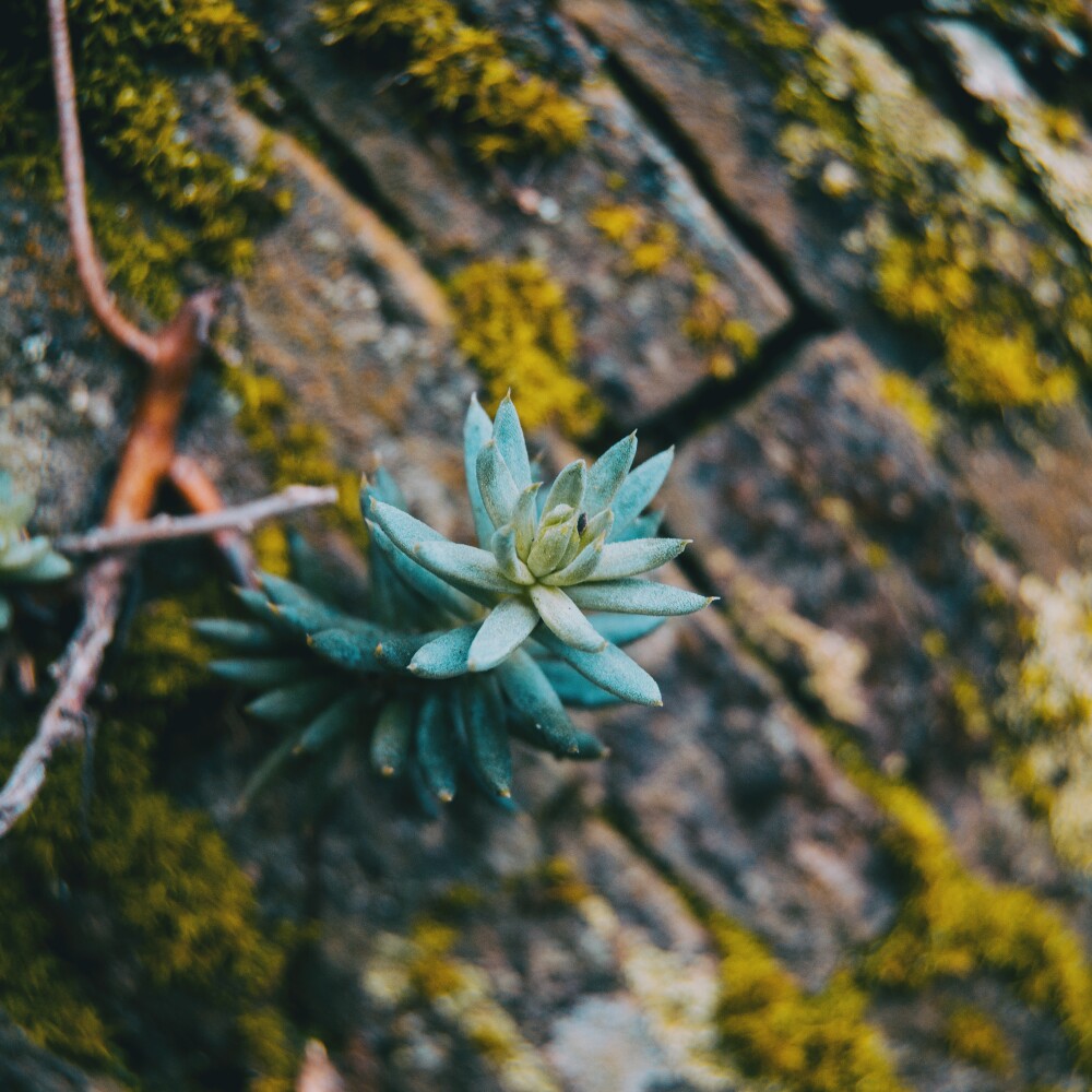 Resilience stock photo