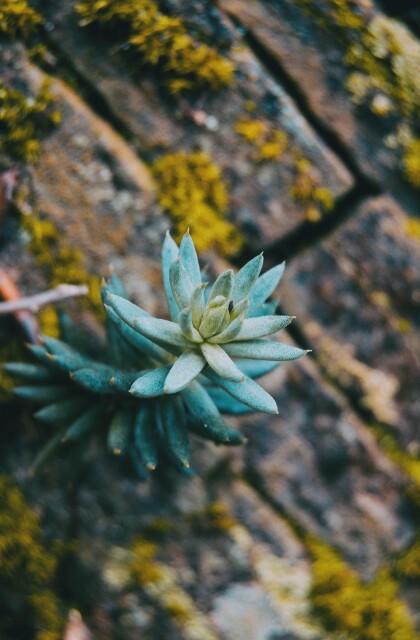 Resilience stock photo