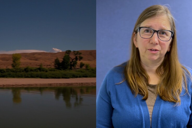 Moira Mcdonald Food Water Climate Video Still