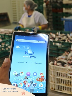 Pesca Data App 4