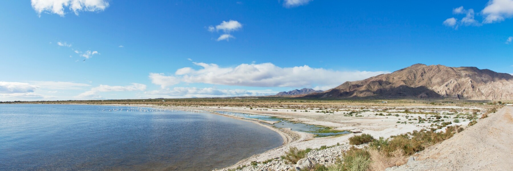 salton sea blog hero2.jpg