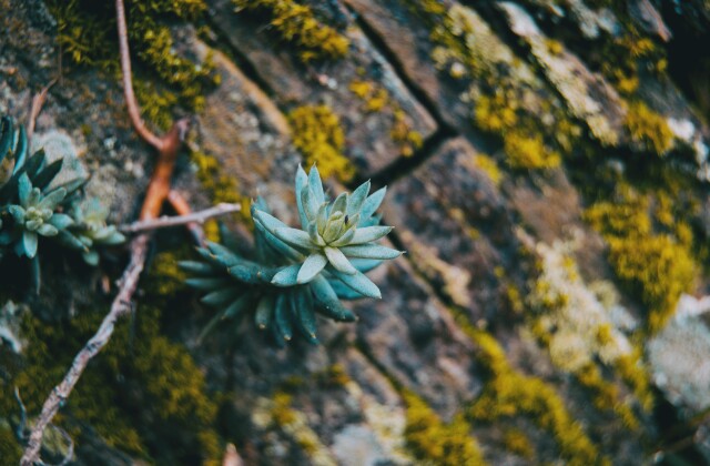 Resilience stock photo