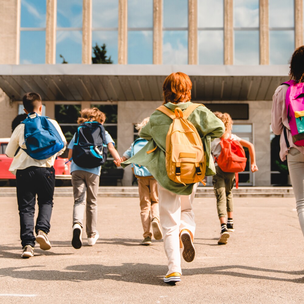 Students Go Back to School