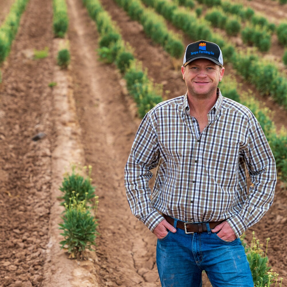 Farmer Will Thelander stands in a field with rows of guayule plants.