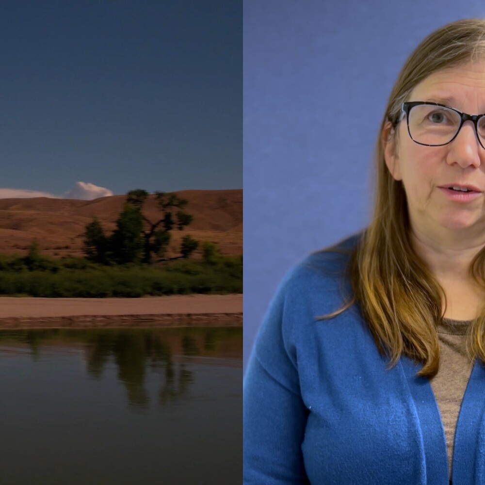 Moira Mcdonald Food Water Climate Video Still