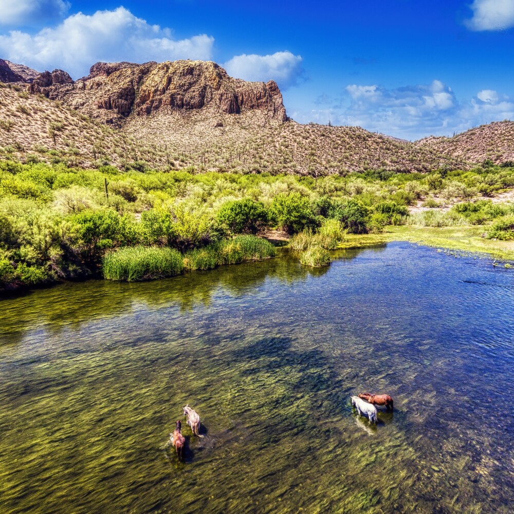 Tonto National Forest in Arizona stock
