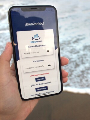 Pesca Data App 2