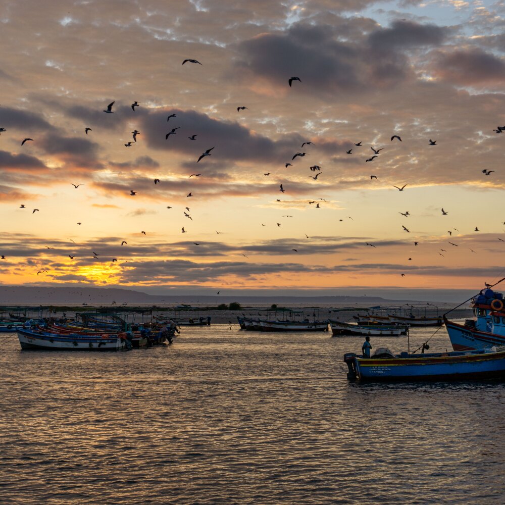 Peruvian Squid Fishing Sunset