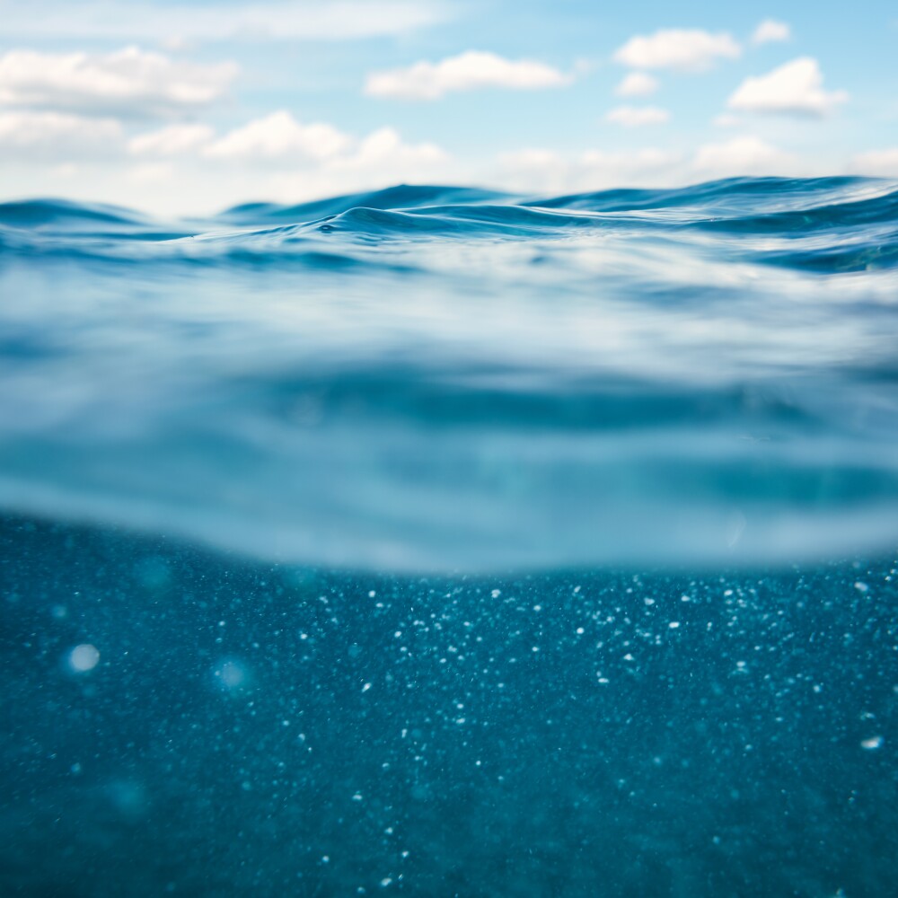 Undersea View