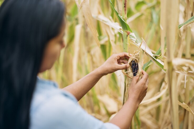 National Young Farmers Coalition blog image