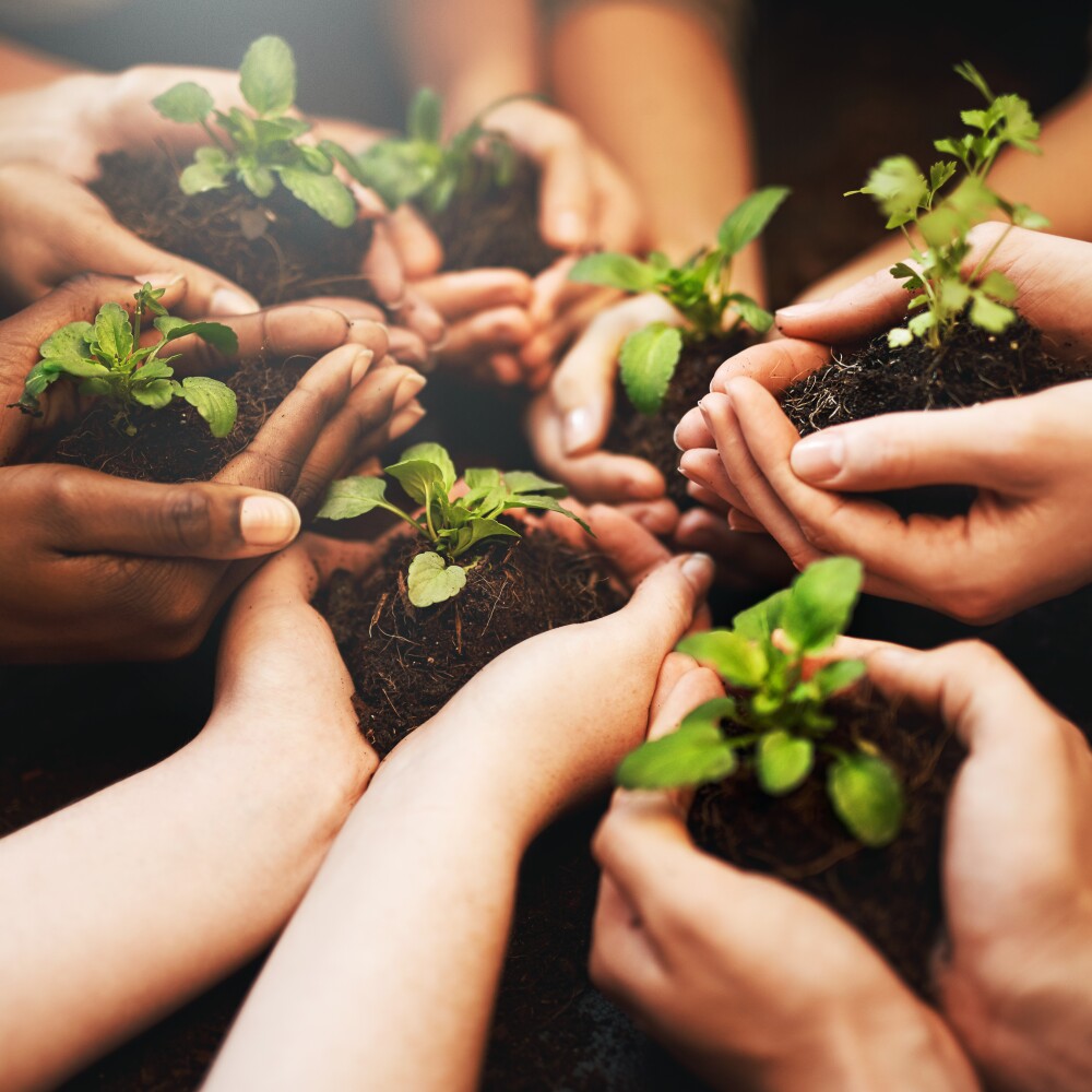People hold small plants in their hands.