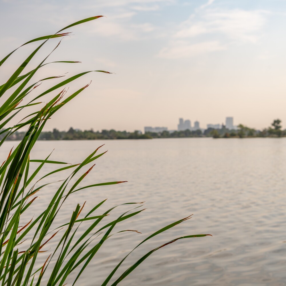 Colorado Water Denver Skyline
