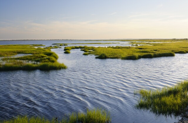 Ocean Inlet with Marsh Grass