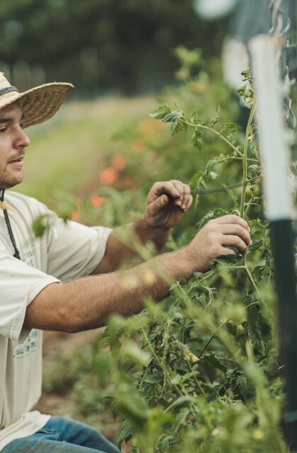 Northwest Arkansas Food Systems. Frank Ostapowicz apprentice