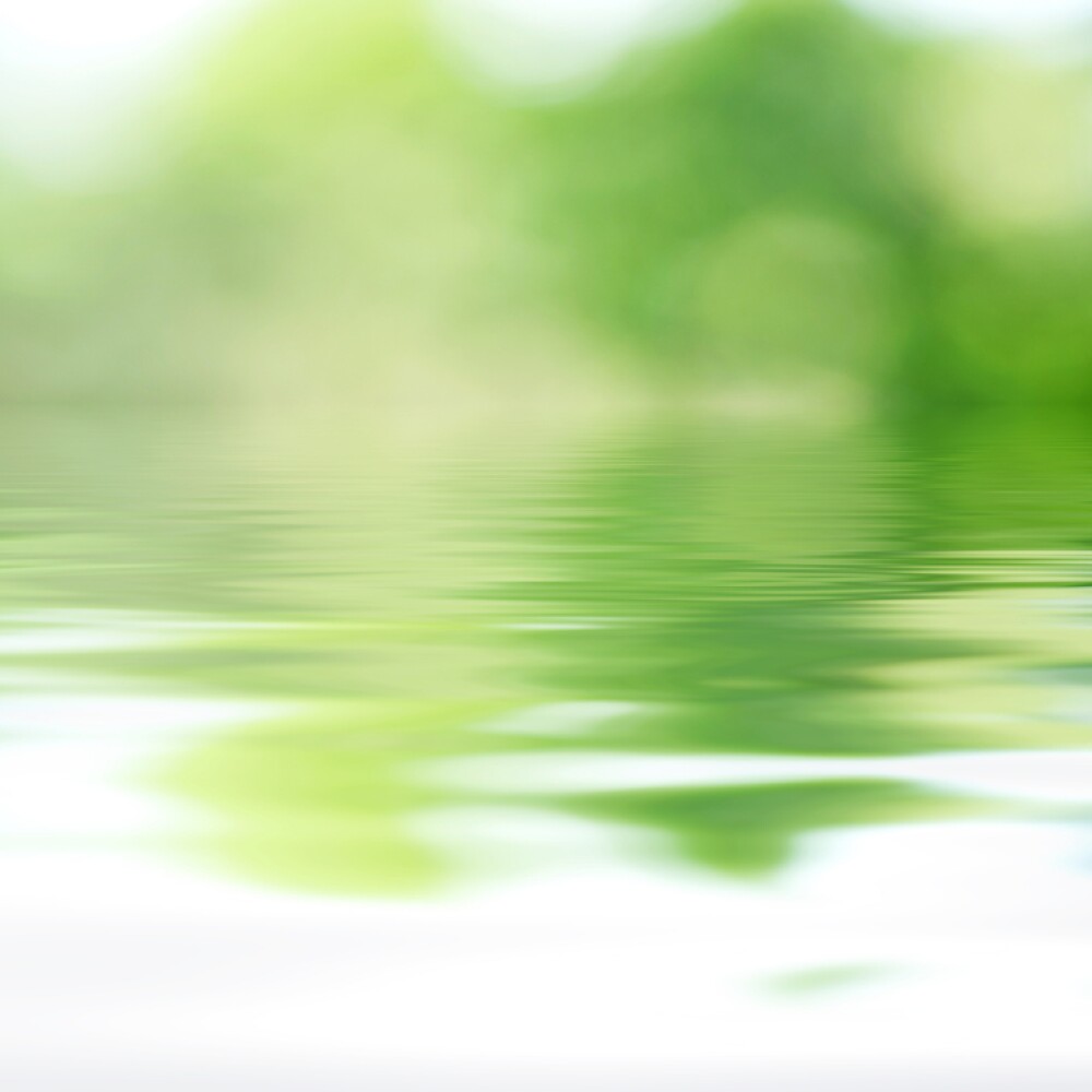Defocused background of green tree and lake water