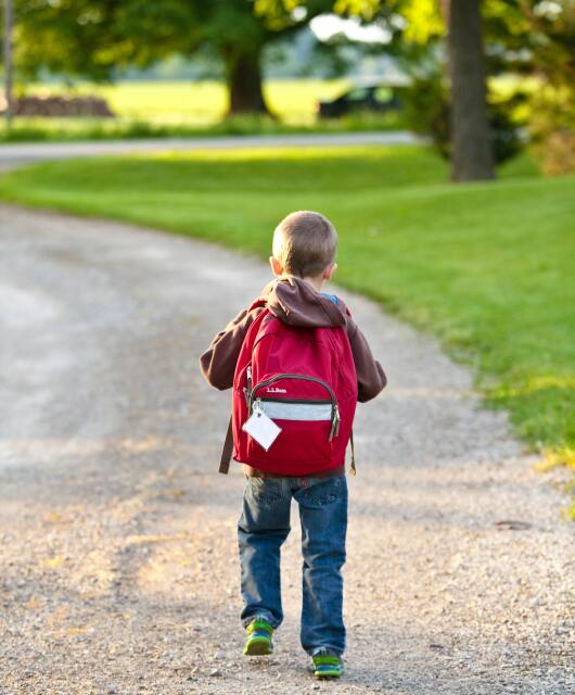 back-view-backpack-bag-207697.jpg