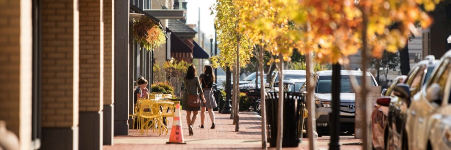 bentonville-trees-downtown-web.jpg