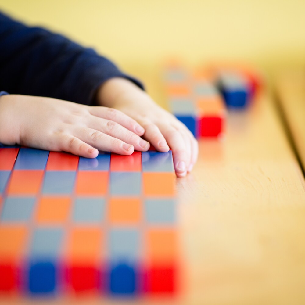 K12Education_ElementarySchool